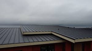 Best Roof Ventilation Installation  in Cahokia, IL